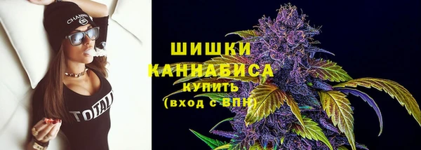 дмт Осташков