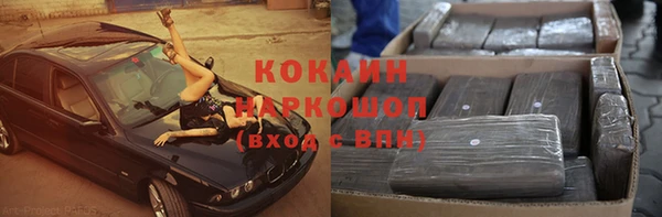 гашик Няндома