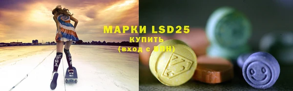 PSILOCYBIN Осинники