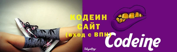 дмт Осташков