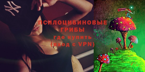 PSILOCYBIN Осинники